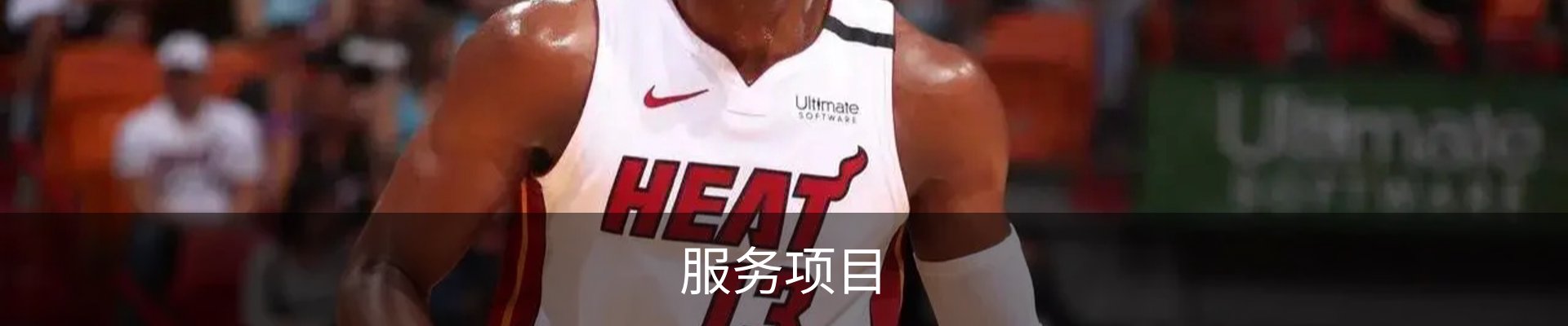 服务项目