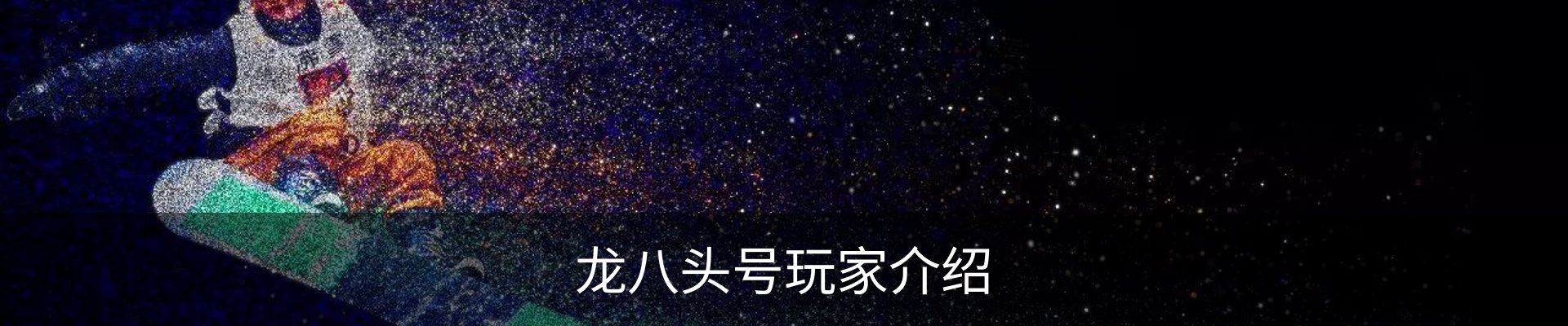 龙八头号玩家介绍
